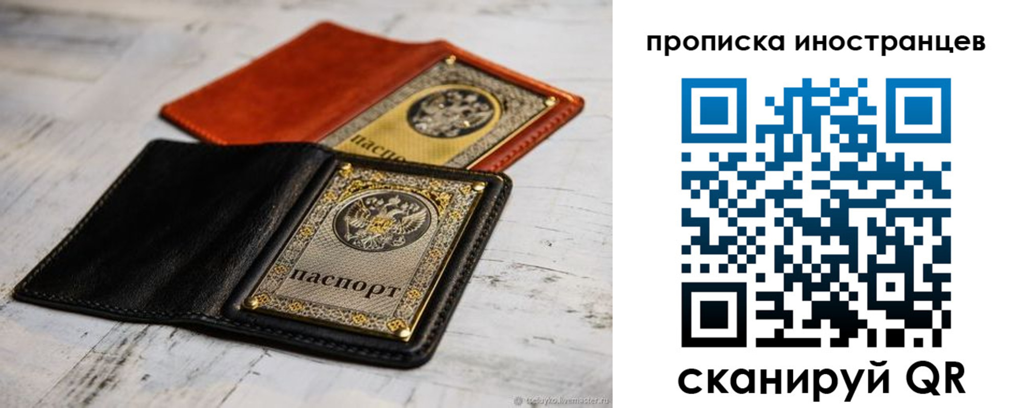 прописка в Коле